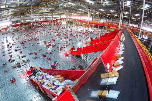 京東新業態服務民生顯身手，日用百貨銷售引領消費新體驗